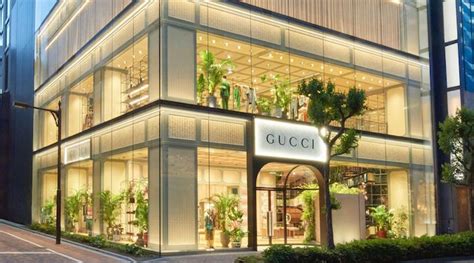 gucci islamabad|gucci japan website.